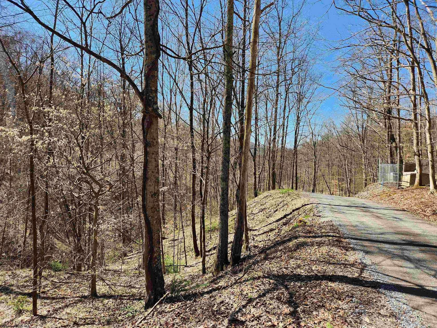 25 Acres of Recreational Land for Sale in Grafton, West Virginia