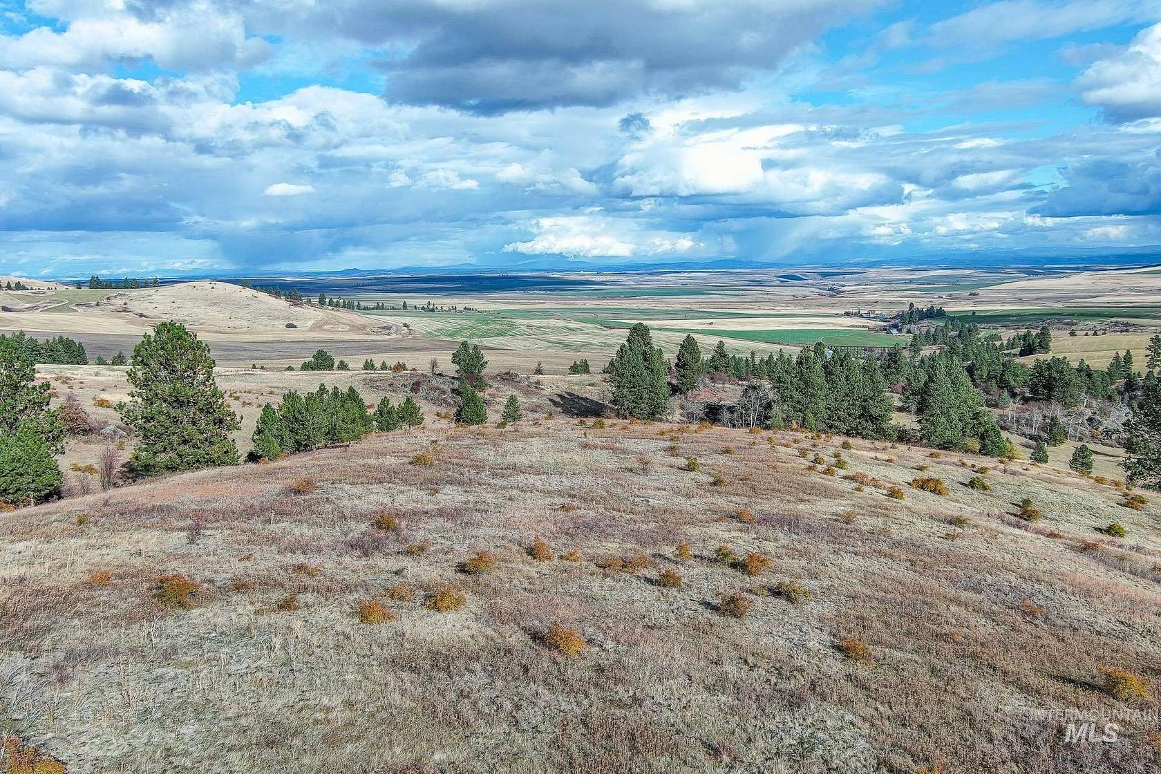 30 Acres of Land for Sale in Cottonwood, Idaho