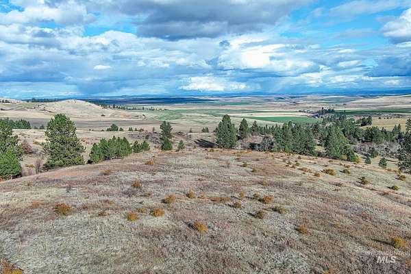 30 Acres of Land for Sale in Cottonwood, Idaho