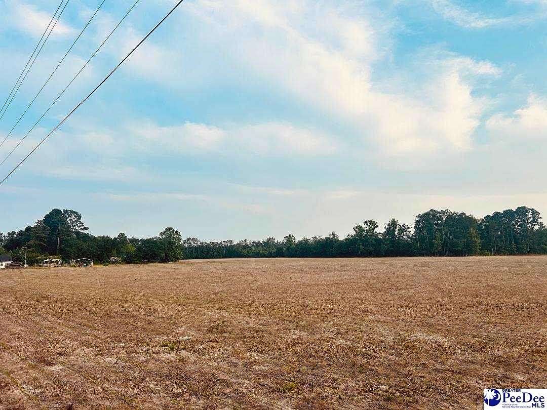 21.5 Acres of Land for Sale in Nichols, South Carolina