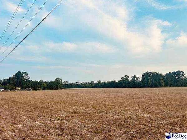21.5 Acres of Land for Sale in Nichols, South Carolina