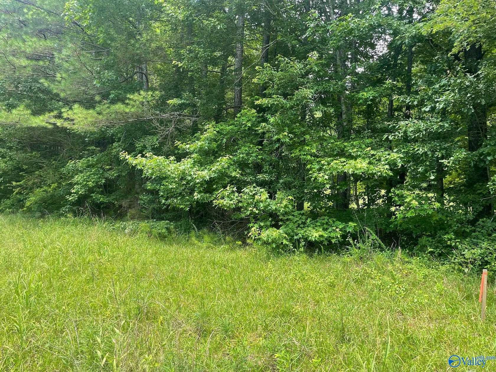 8.1 Acres of Residential Land for Sale in Cullman, Alabama