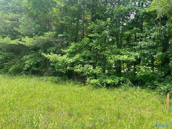 8.1 Acres of Residential Land for Sale in Cullman, Alabama
