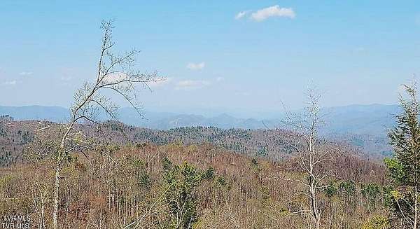18.7 Acres of Recreational Land for Sale in Roan Mountain, Tennessee