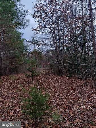 6.25 Acres of Land for Sale in Ruther Glen, Virginia