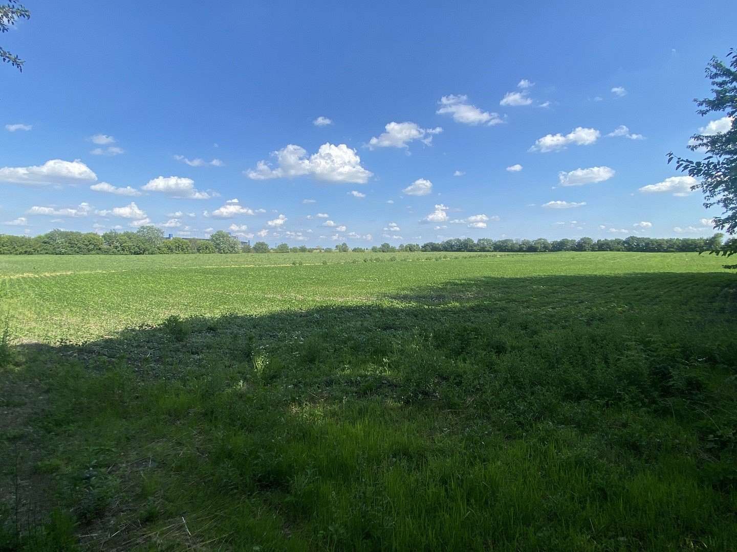 20 Acres of Agricultural Land for Sale in Joliet, Illinois