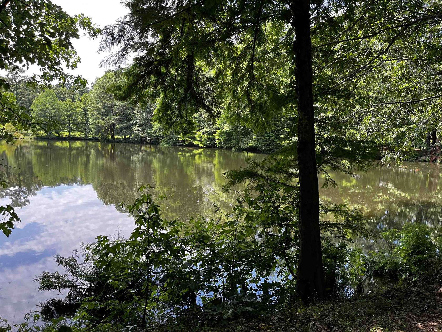 37.2 Acres of Land with Home for Sale in Bartlett, Tennessee