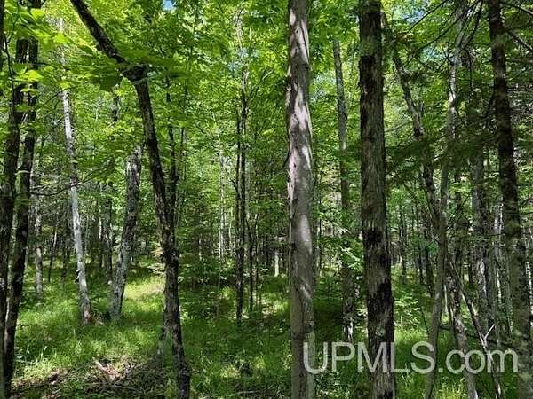 40 Acres of Recreational Land for Sale in Florence Town, Wisconsin