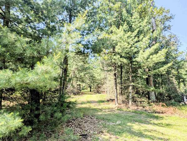 4.9 Acres of Residential Land for Sale in Adams, Wisconsin