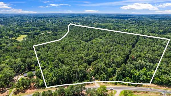 56.5 Acres of Agricultural Land for Sale in Longview, Texas