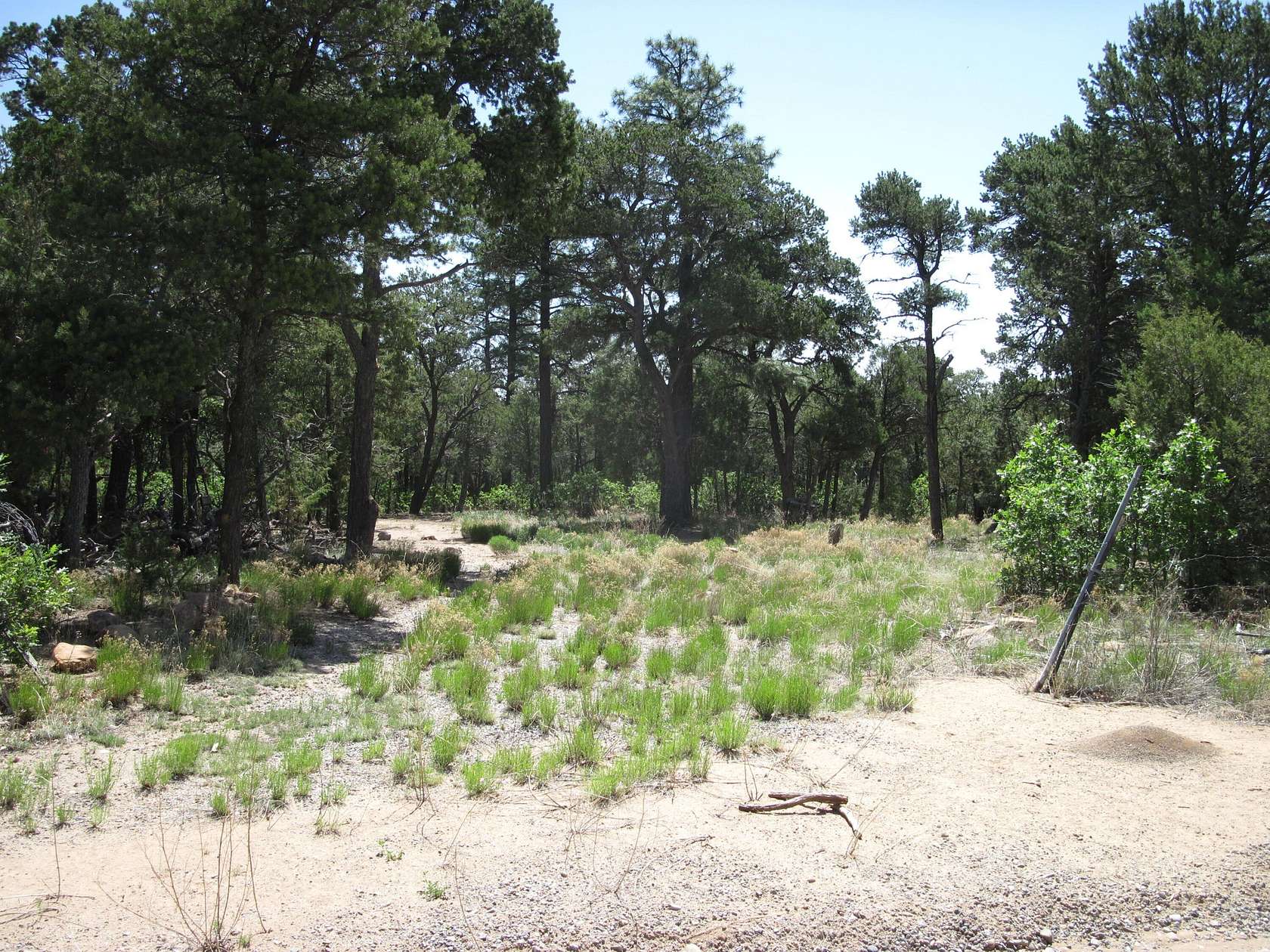1 Acre of Residential Land for Sale in Tijeras, New Mexico