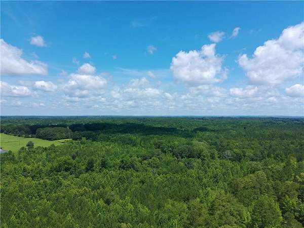 12.1 Acres of Land for Sale in Roanoke, Alabama