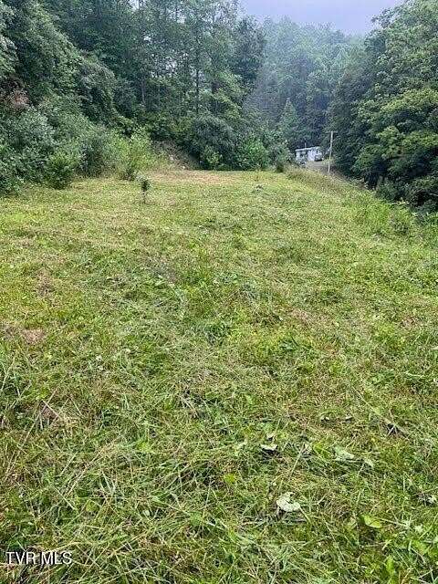 1 Acre of Residential Land for Sale in Haysi, Virginia