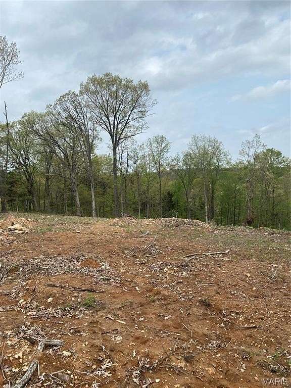 21 Acres of Land for Sale in Hillsboro, Missouri