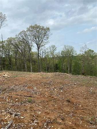 21 Acres of Land for Sale in Hillsboro, Missouri