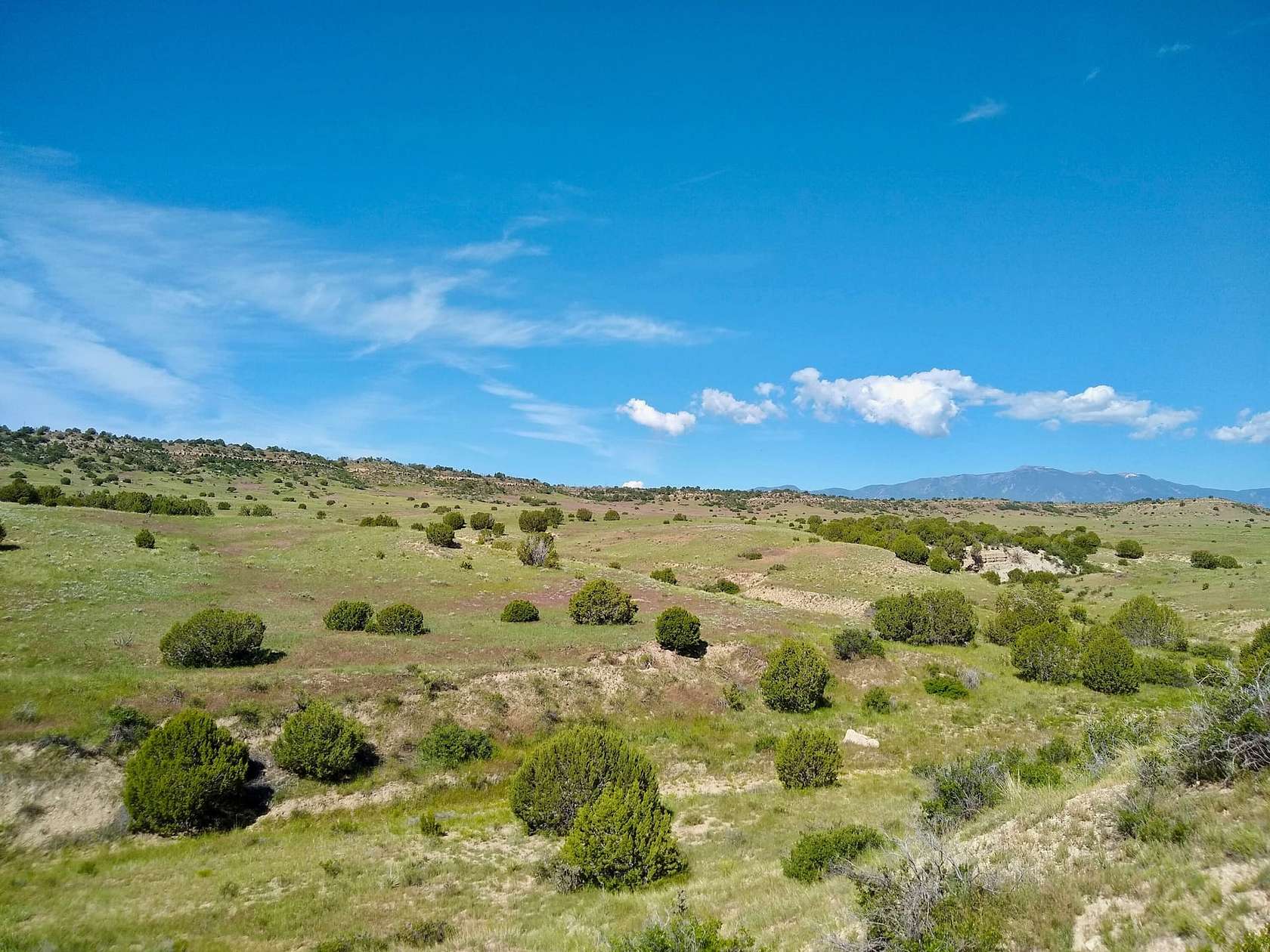 35.1 Acres of Recreational Land for Sale in Rye, Colorado