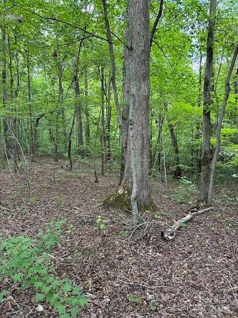 2 Acres of Land for Sale in Iron Station, North Carolina