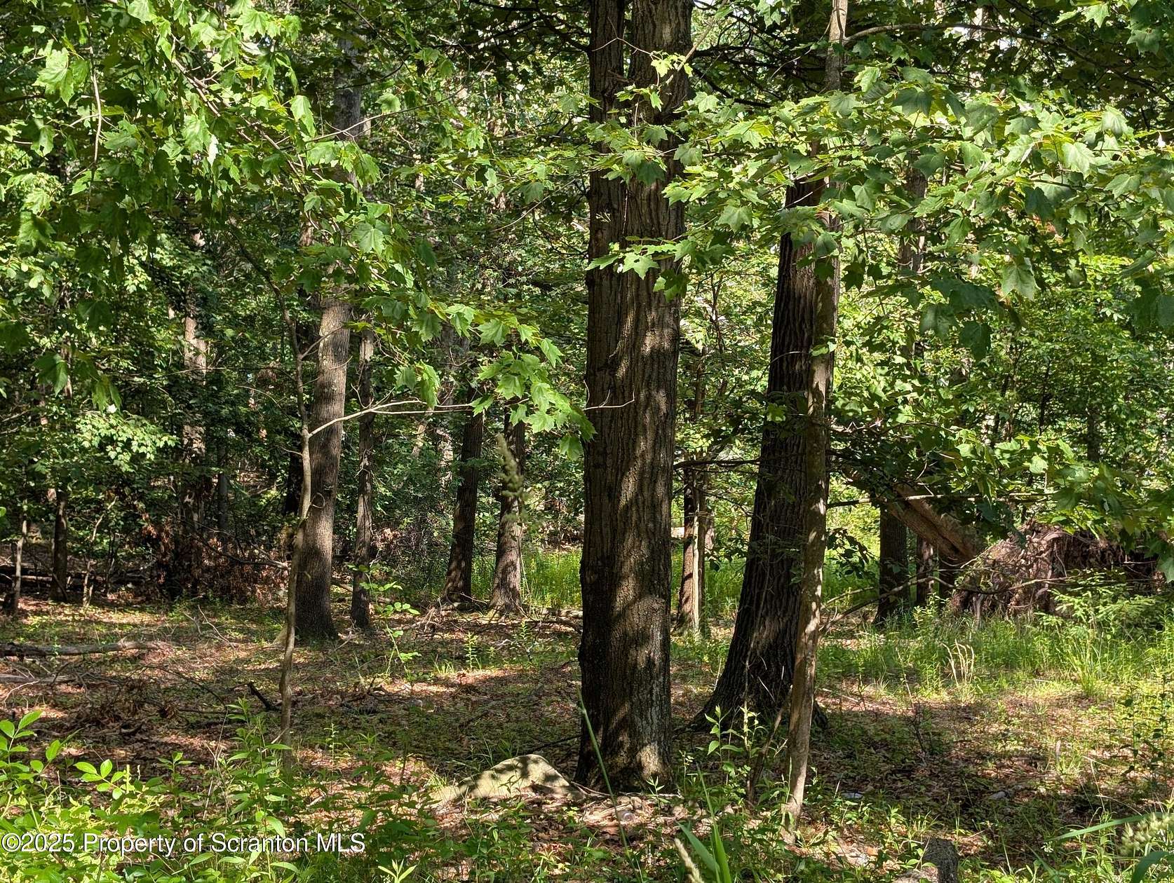 1.19 Acres of Residential Land for Sale in Scranton, Pennsylvania