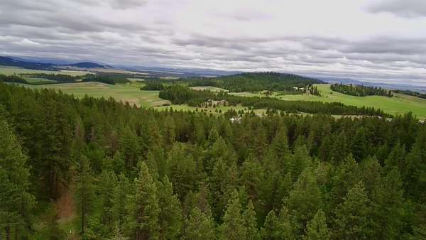 40.3 Acres of Recreational Land for Sale in Rockford, Washington