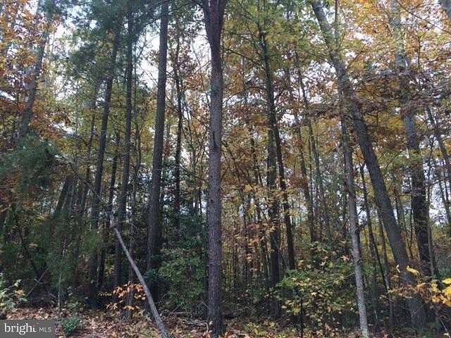 0.48 Acres of Residential Land for Sale in Ruther Glen, Virginia