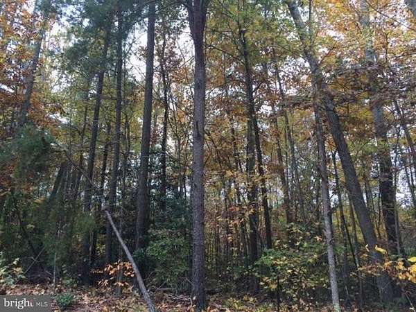 0.48 Acres of Residential Land for Sale in Ruther Glen, Virginia