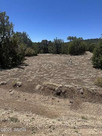 1.4 Acres of Residential Land for Sale in Vernon, Arizona