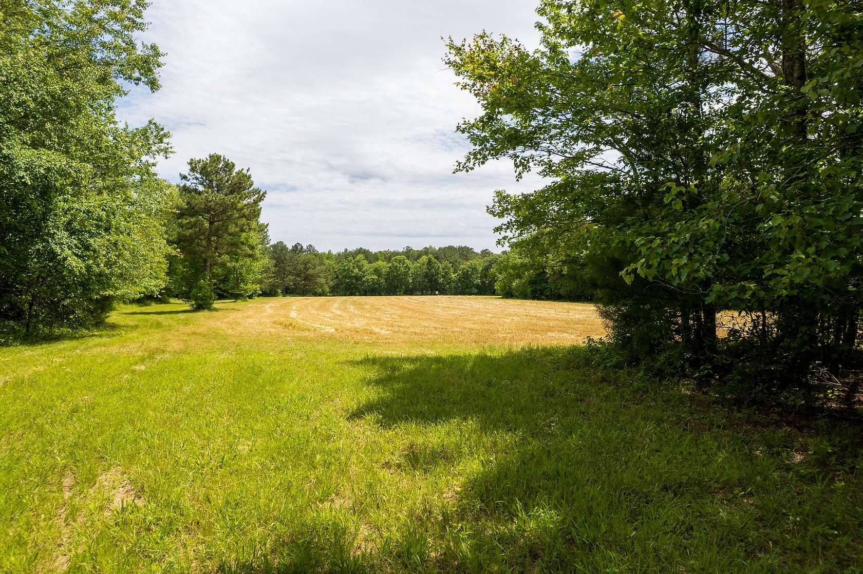 45 Acres of Recreational Land for Sale in Flat Rock, Alabama