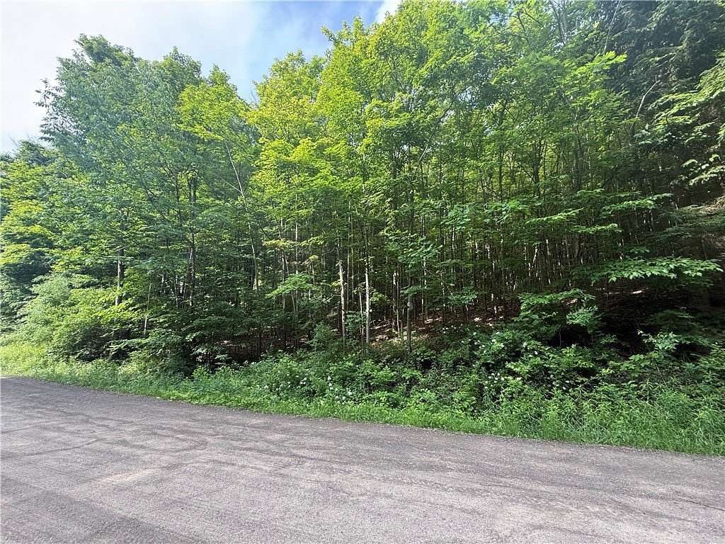 12.8 Acres of Land for Sale in Naples, New York