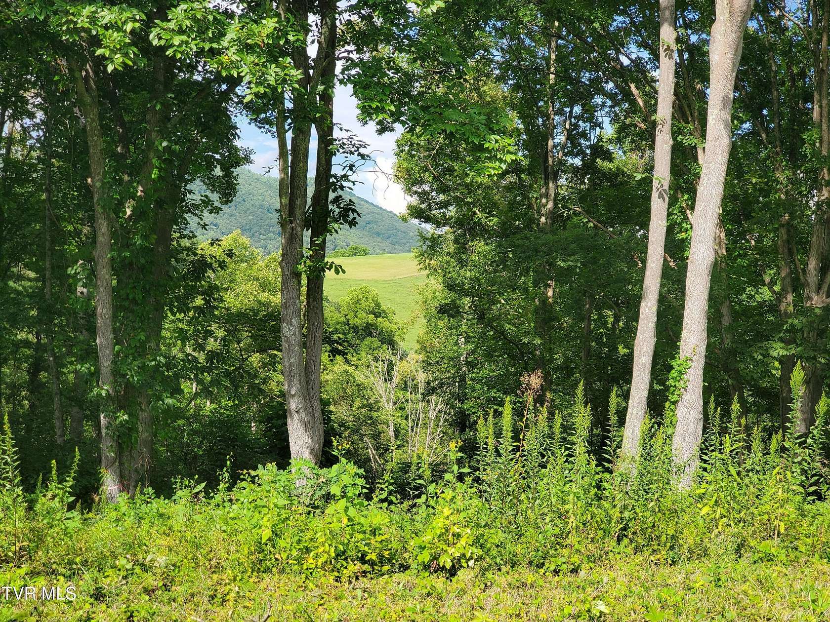 1.35 Acres of Residential Land for Sale in Butler, Tennessee