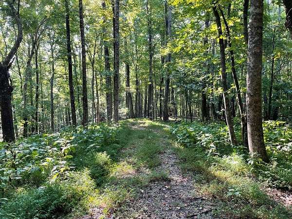 22.3 Acres of Recreational Land for Sale in Jasper, Georgia
