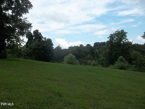 13 Acres of Land for Sale in Talbott, Tennessee