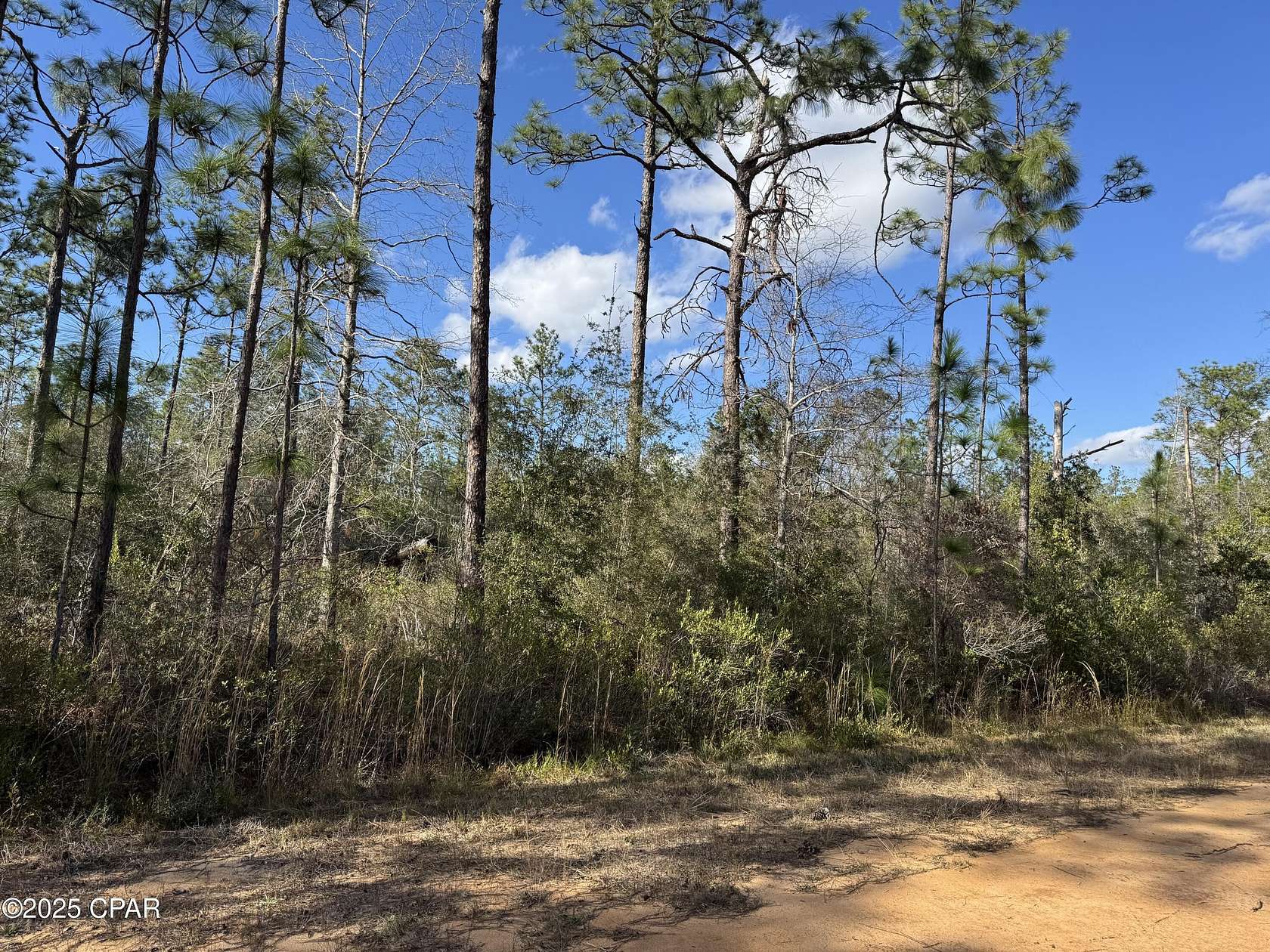 1.33 Acres of Residential Land for Sale in Alford, Florida