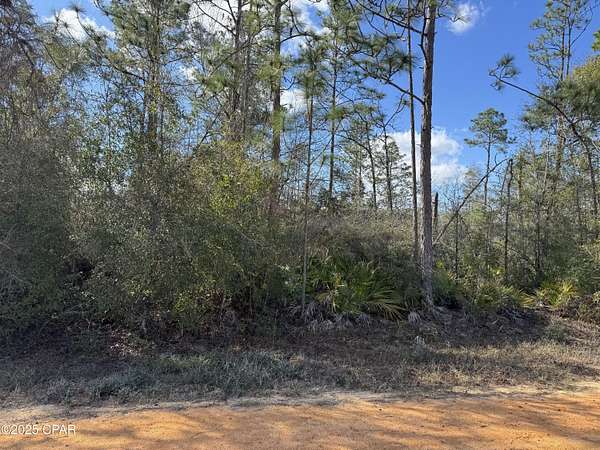 1.13 Acres of Residential Land for Sale in Alford, Florida
