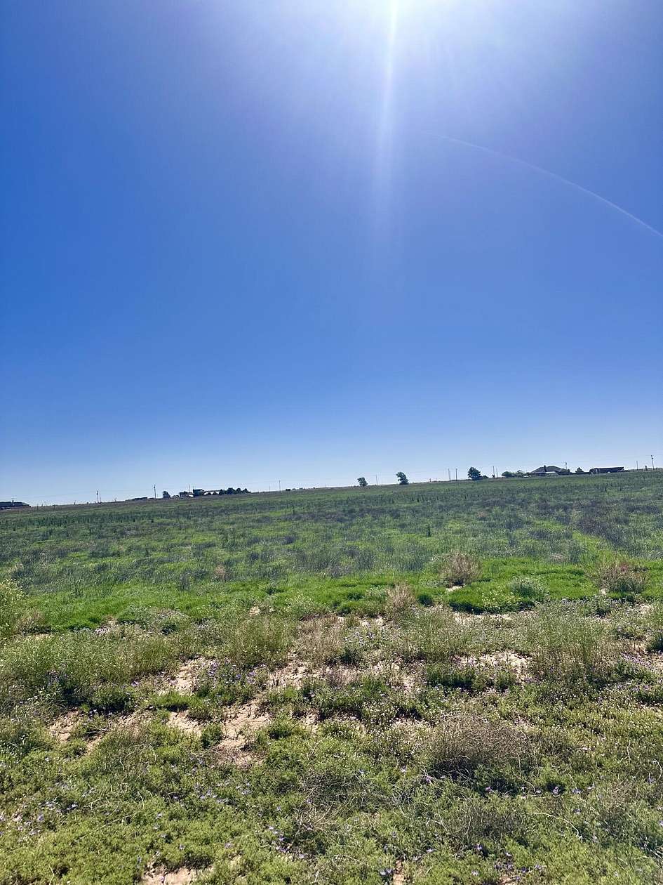 10 Acres of Land for Sale in Levelland, Texas