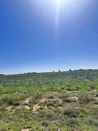 10 Acres of Land for Sale in Levelland, Texas
