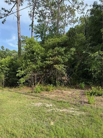 0.24 Acres of Residential Land for Sale in Bronson, Florida