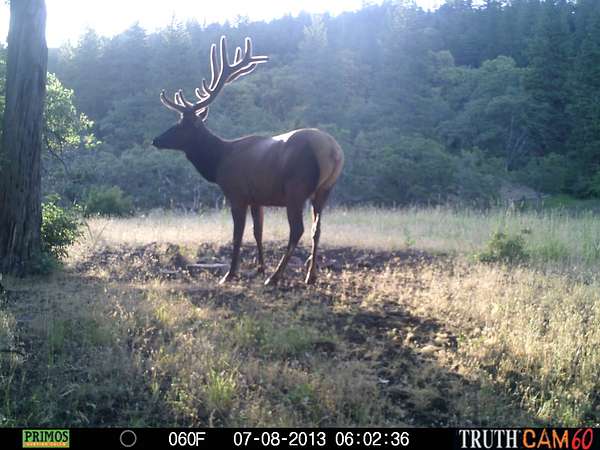 760 Acres of Land for Sale in Medford, Oregon