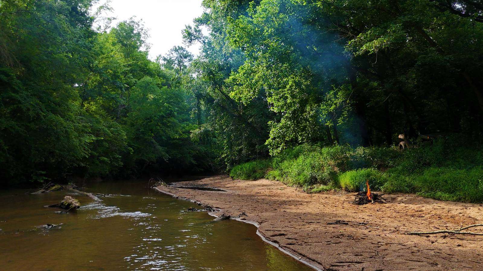 459 Acres of Recreational Land & Farm for Sale in Winnsboro, South Carolina