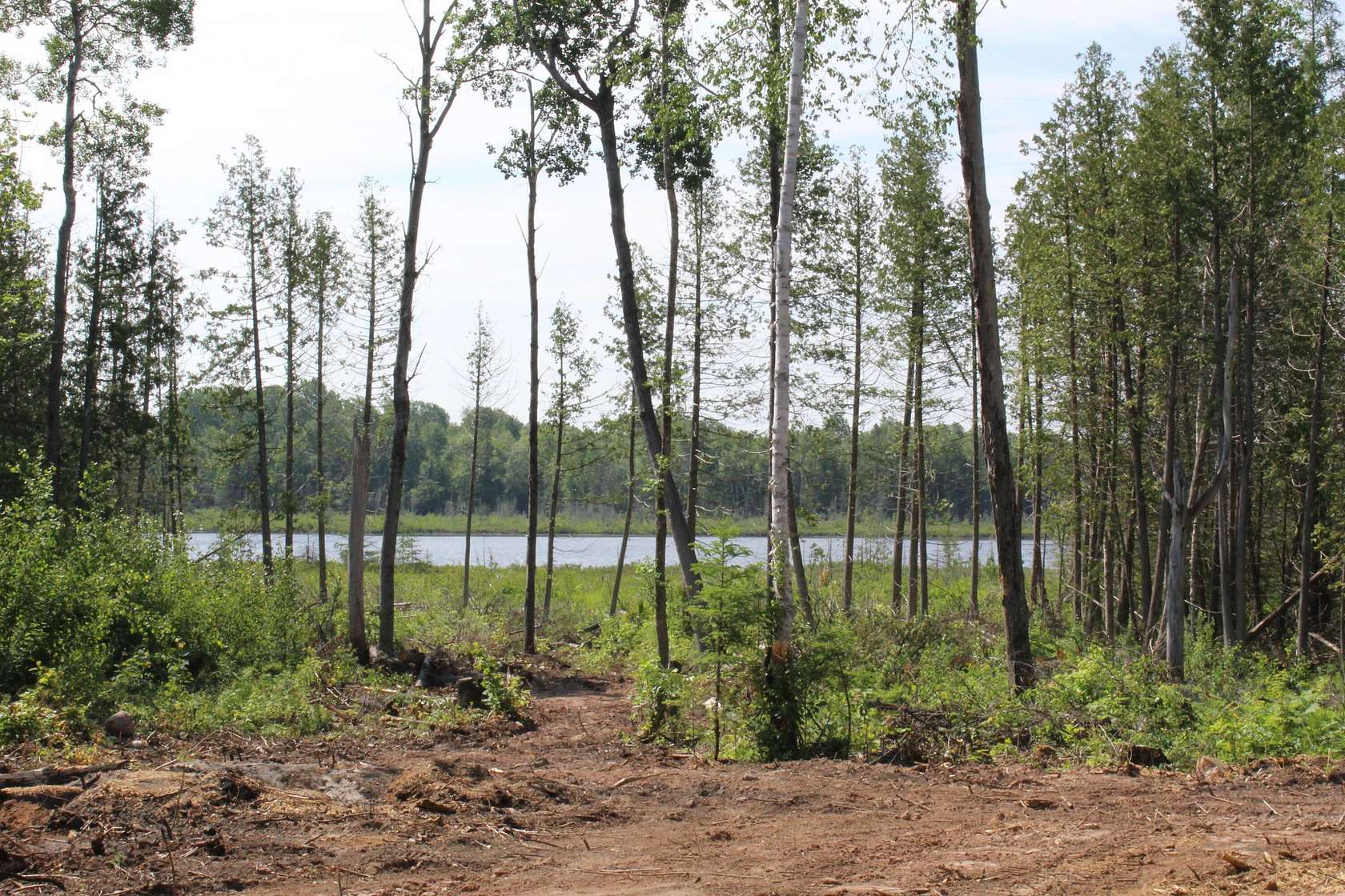 115 Acres of Recreational Land for Sale in Germfask, Michigan