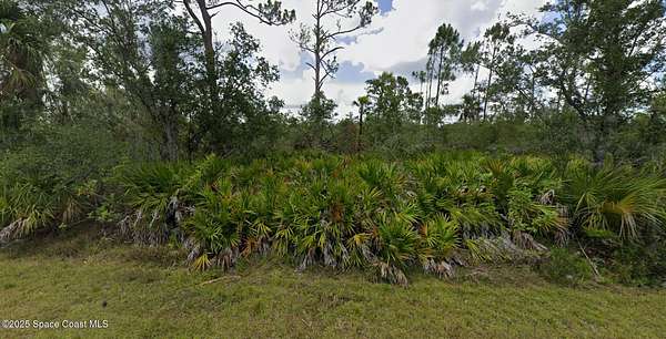 0.22 Acres of Residential Land for Sale in Port Charlotte, Florida