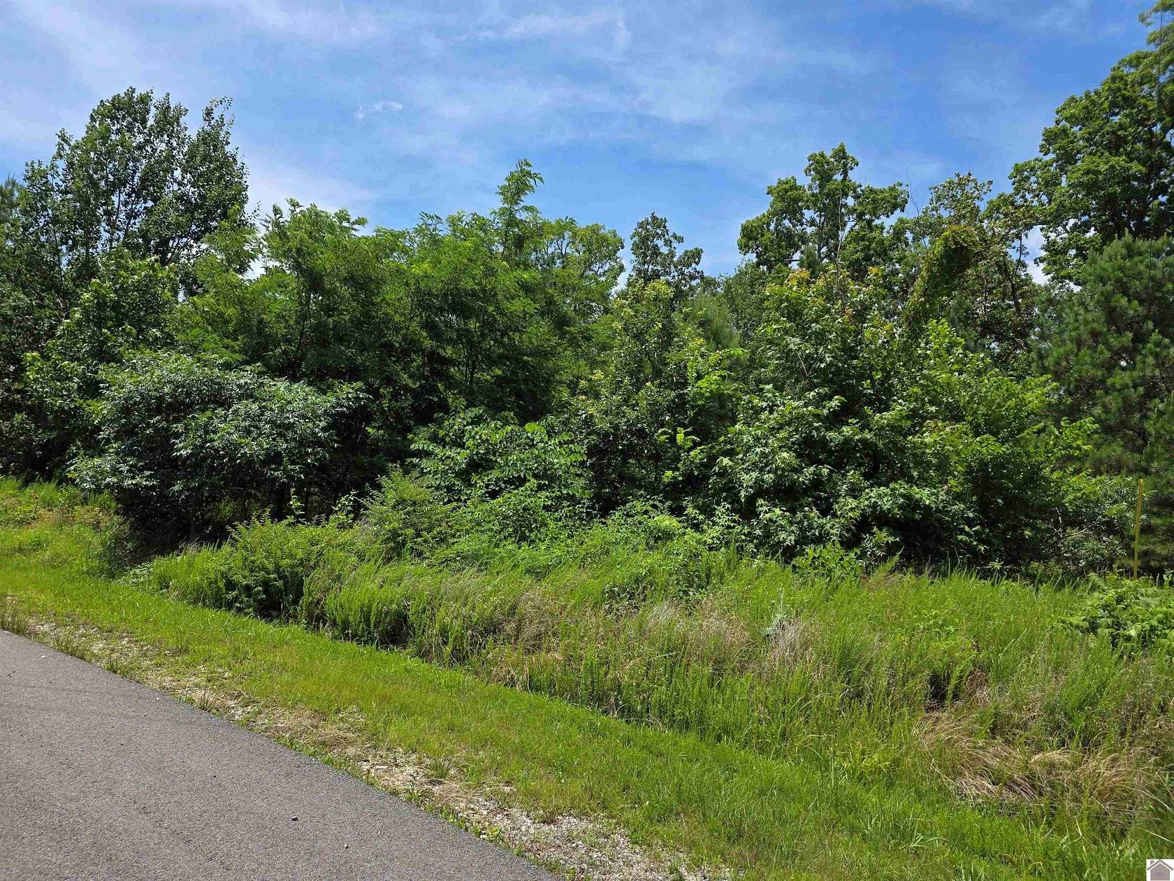 5 Acres of Residential Land for Sale in Murray, Kentucky