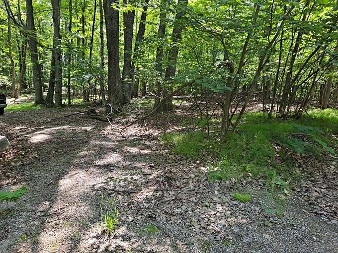 1.59 Acres of Residential Land for Sale in Farwell, Michigan