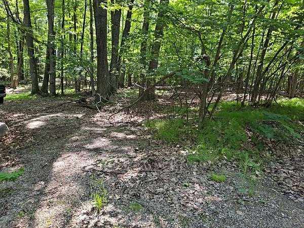 1.59 Acres of Residential Land for Sale in Farwell, Michigan