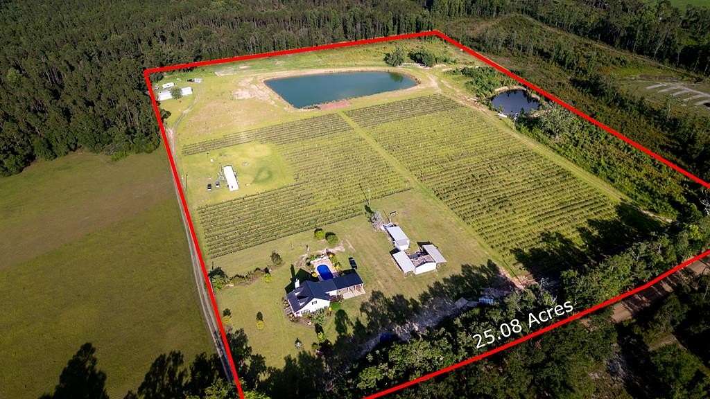 25 Acres of Agricultural Land with Home for Sale in Baxley, Georgia