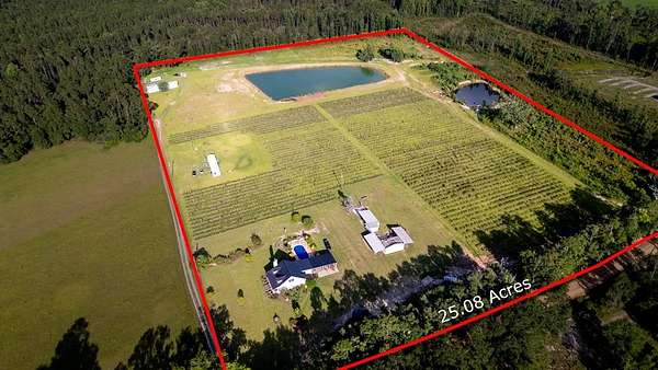 25 Acres of Agricultural Land with Home for Sale in Baxley, Georgia