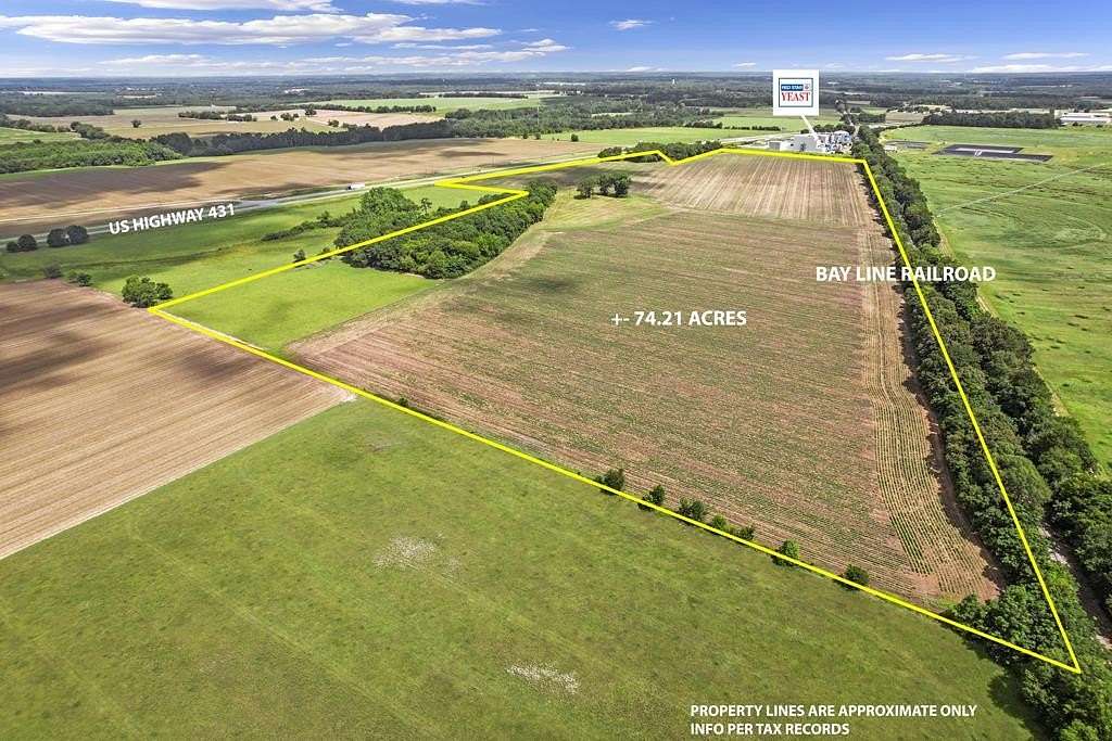 74 Acres of Land for Sale in Headland, Alabama