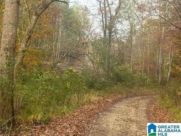86 Acres of Recreational Land for Sale in Pell City, Alabama