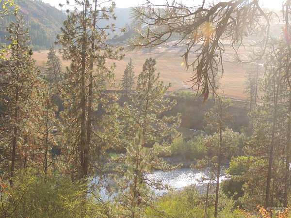 5 Acres of Residential Land for Sale in Stites, Idaho