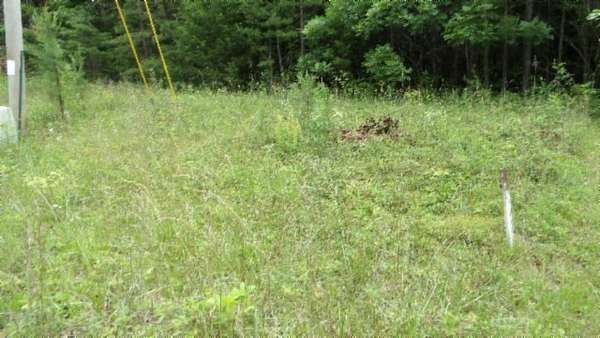 5.3 Acres of Residential Land for Sale in Wilder, Tennessee