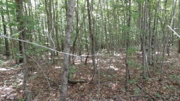 5.3 Acres of Residential Land for Sale in Wilder, Tennessee